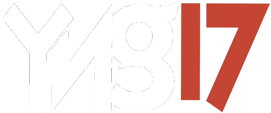 YNG17